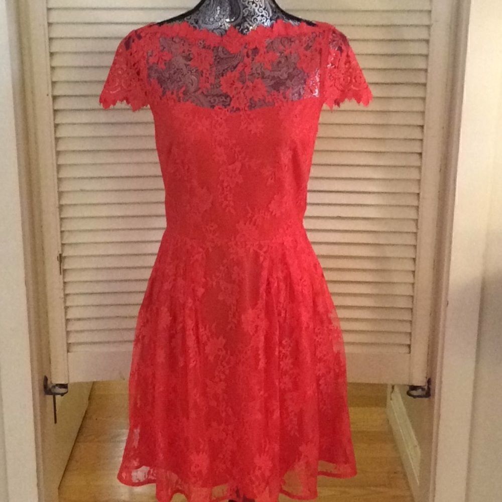 Cynthia Steffe Dramatic Lace over lining dress 4